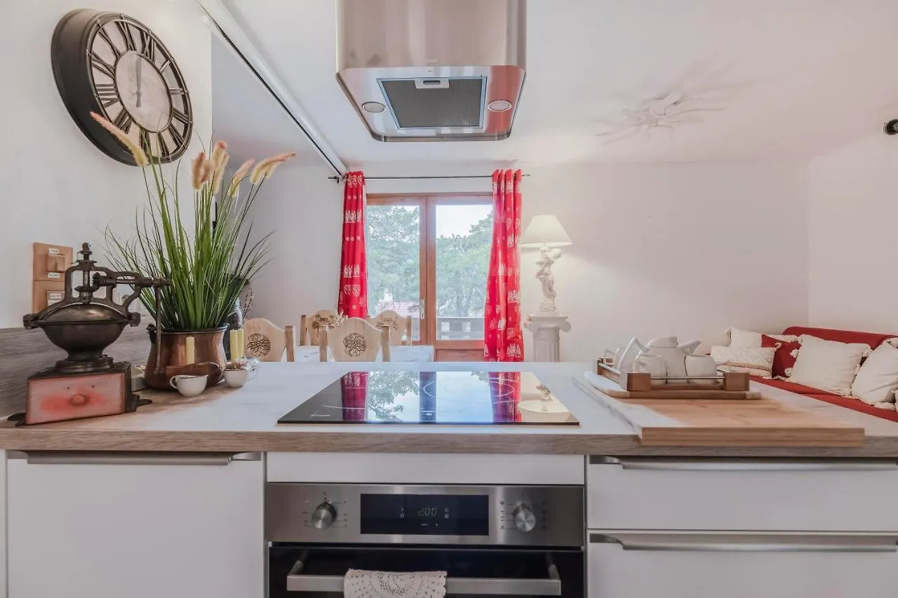 Appartement Nid Douillet à Greolieres